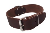 Hund - Nobby Halsbånd TABIL ekstra bred 65 cm (48-58 cm) 50 mm - L80934-03