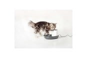 Katt - Nobby Drikke fontæne Cascade 1.5 L - L72144