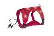 Hund - Nobby Seletøj Flash Mesh L Rød - L80752-01