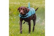 Hund - Nobby Redningsvest Sharki Blå XL - L61034