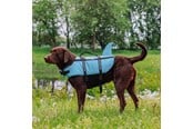 Hund - Nobby Redningsvest Sharki Blå M - L61032