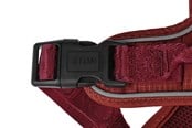 Hund - 51 Degrees North 51 - Wanderful - H Harness - Trail - Burgundy - M - 51AWFHT204