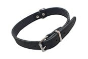 Hund - Nobby Halsbånd TABIL 50 cm (41-46 cm) 20 mm Sort - L80923-05