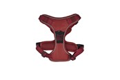 Hund - 51 Degrees North 51 - Wanderful - H Harness - Trail - Burgundy - XS - 51AWFHT202