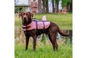 Hund - Nobby Redningsvest Sharki Pink XS - L61036