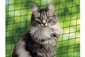 Katt - Nobby Sikkerhedsnet til katte L 8x3 m - L80107