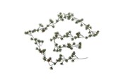 Dekorasjon - Bloomingville Cedar - 82072373