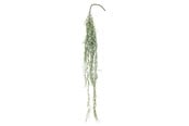 Dekorasjon - Bloomingville Tilandsia - 82061497