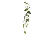 Dekorasjon - Bloomingville Anthurium - 82061498