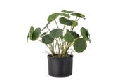 Dekorasjon - Bloomingville Copper - 82061504
