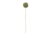 Dekorasjon - Bloomingville Allium - 82061466