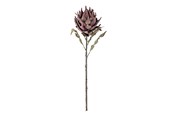 Dekorasjon - Bloomingville Protea - 82061467