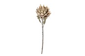 Dekorasjon - Bloomingville Protea - 82061468