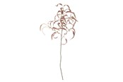 Dekorasjon - Bloomingville Eucalyptus - 82061470