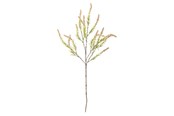Dekorasjon - Bloomingville Foxtail - 82061472
