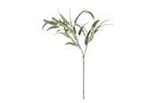 Dekorasjon - Bloomingville Eucalyptus - 82061473