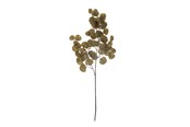 Dekorasjon - Bloomingville Eucalyptus - 82061474