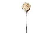 Dekorasjon - Bloomingville Hydrangea - 82061476