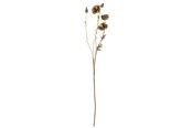 Dekorasjon - Bloomingville Poppy - 82061477