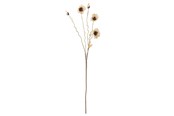 Dekorasjon - Bloomingville Poppy - 82061478
