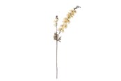 Dekorasjon - Bloomingville Larkspur - 82061480