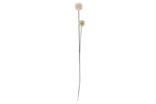 Dekorasjon - Bloomingville Phlox - 82061506