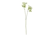 Dekorasjon - Bloomingville Fennel - 82061507