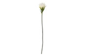 Dekorasjon - Bloomingville Lily - 82061508