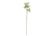 Dekorasjon - Bloomingville Fennel - 82061513