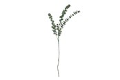 Dekorasjon - Bloomingville Eucalyptus - 82061514