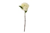 Dekorasjon - Bloomingville Hydrangea - 82061515