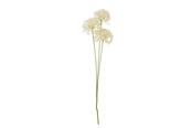 Dekorasjon - Bloomingville Allium - 82061516