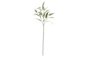 Dekorasjon - Bloomingville Eucalyptus - 82061520