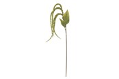 Dekorasjon - Bloomingville Foxtail - 82061539