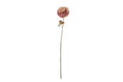 Dekorasjon - Bloomingville Chrysantemum - 82072031