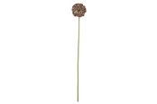 Dekorasjon - Bloomingville Allium - 82072036