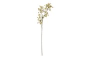 Dekorasjon - Bloomingville Waxflower - 82072037