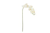 Dekorasjon - Bloomingville Orchid - 82072093