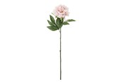 Dekorasjon - Bloomingville Peony - 82072094