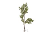 Dekorasjon - Bloomingville Pine - 82072352