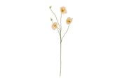 Dekorasjon - Bloomingville Poppy - 82072833