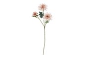 Dekorasjon - Bloomingville Chrysantemum - 82072834