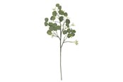 Dekorasjon - Bloomingville Eucalyptus - 82072835