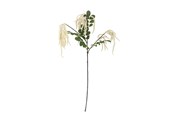 Dekorasjon - Bloomingville Reed - 82072841