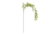 Dekorasjon - Bloomingville Reed - 82072842