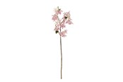 Dekorasjon - Bloomingville Chrysantemum - 82072846