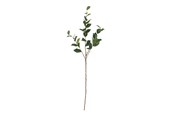 Dekorasjon - Bloomingville Eucalyptus - 82072850