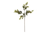 Dekorasjon - Bloomingville Eucalyptus - 82072851