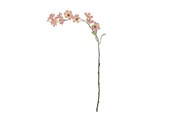 Dekorasjon - Bloomingville Wild Cherry - 82072852