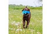 Hund - Nobby Bæver Floating - L61512